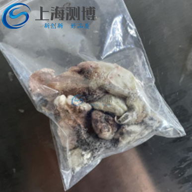 冷凍研磨儀研磨八爪魚做同位素分析實驗